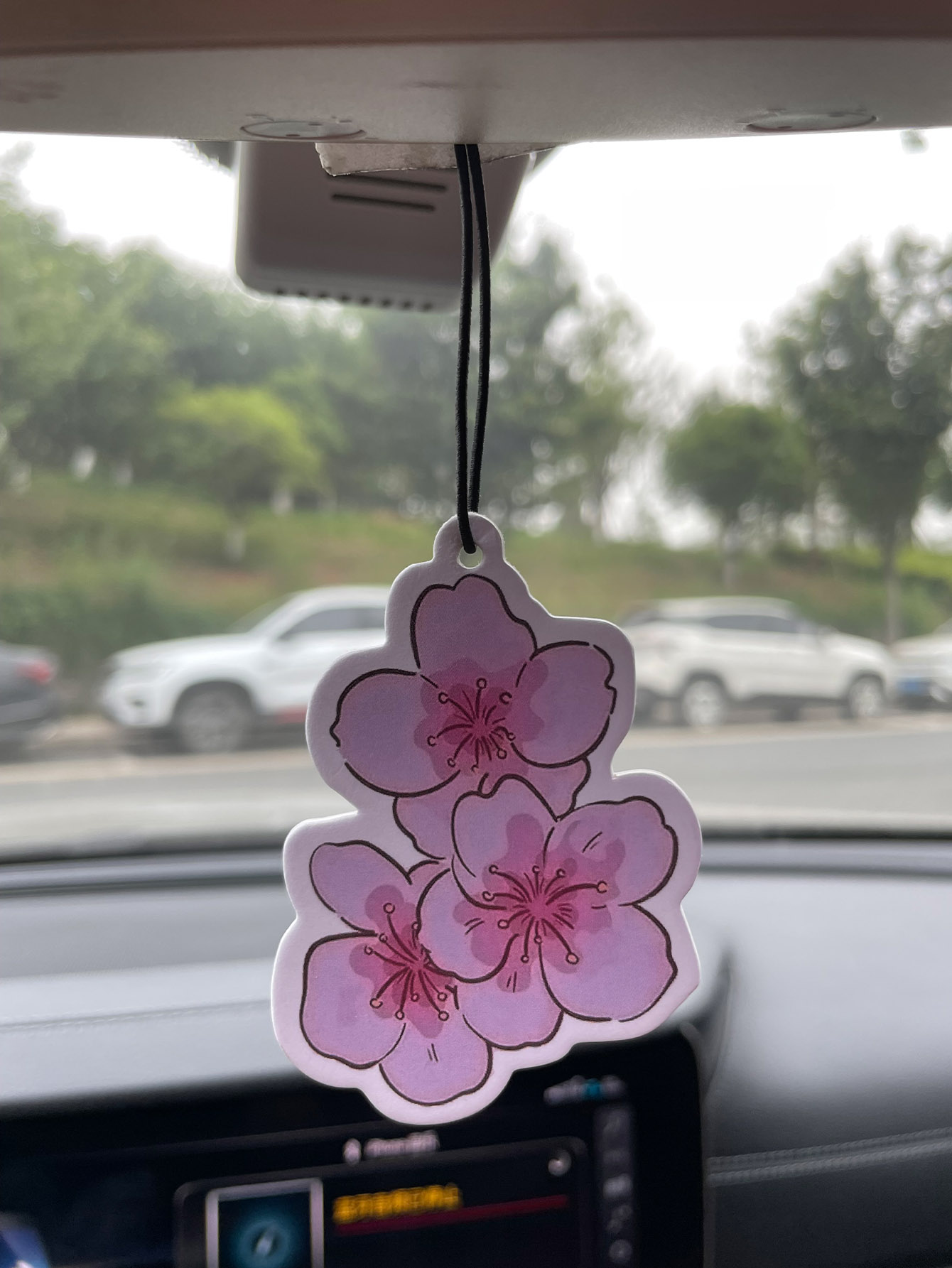 Sakura/Freesia Fresh Scent Fiv - Perfume Fragrance Type review and price