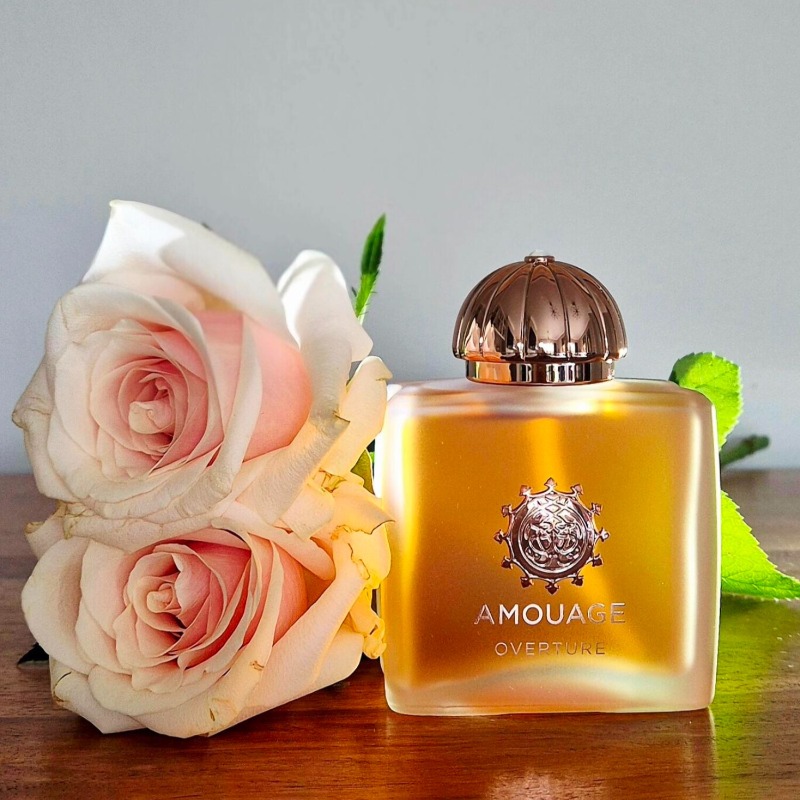 AMOUAGE Luxury Women Perfume 1 - The Collection Perfume Fragrance review and price